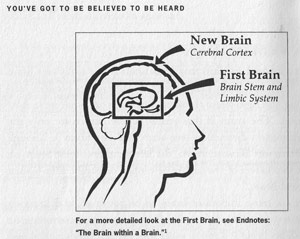 Reptile Brain